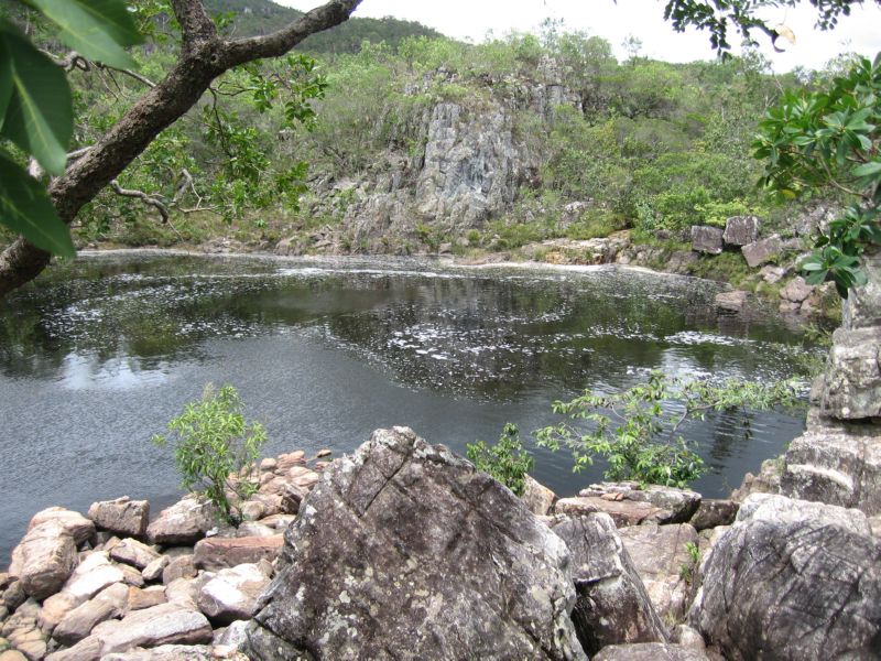 2008-01-09 Chapada (20)... little fish nibbling on ones body